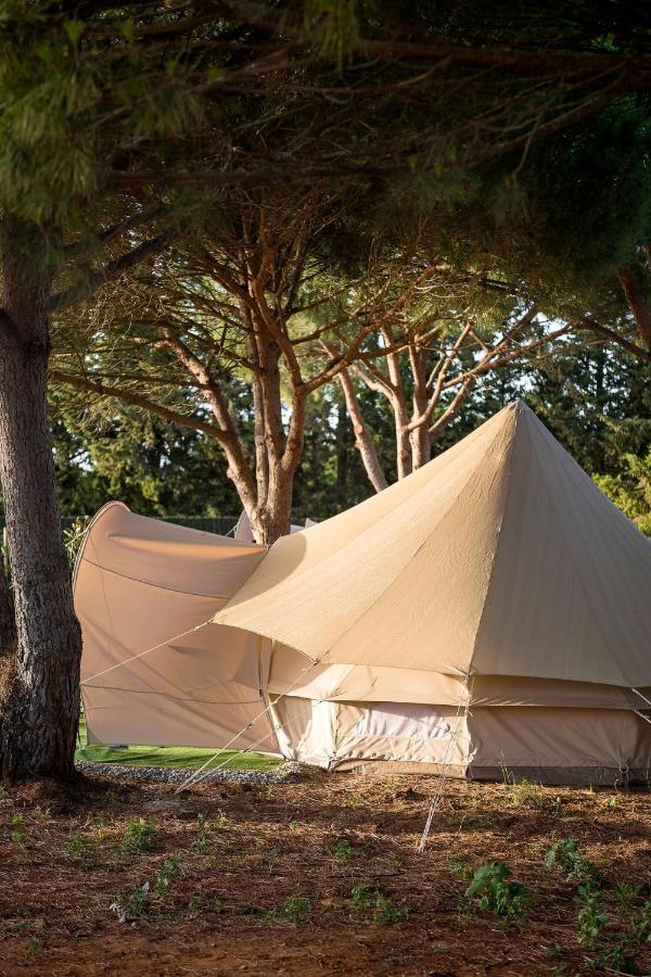 Glamping La Mimosa Conil Hotel Conil de la Frontera Kültér fotó
